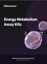 Energy Metabolism Assay Kits (2511)