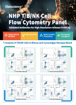 NHP T/B/NK Cell Flow Cytometry Panel (2601)