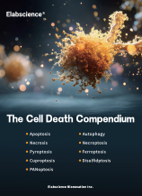 The Cell Death Compendium (2505)