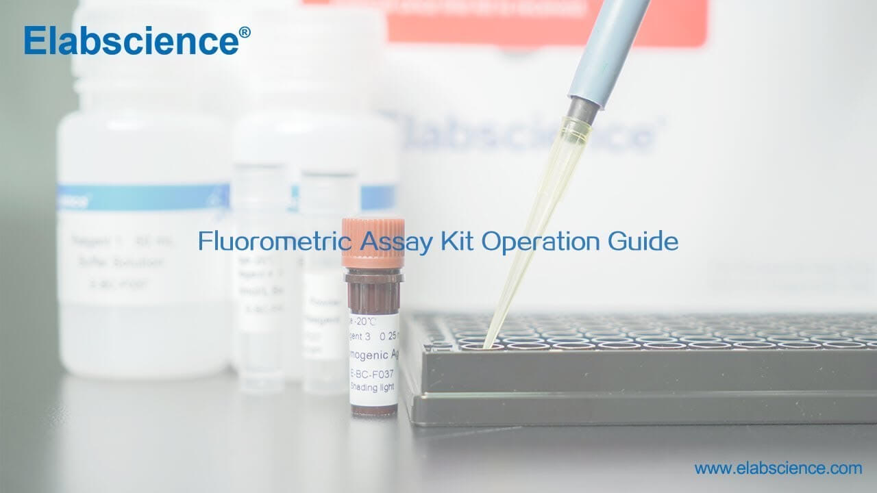 Fluorometric Assay Kit Operation Guide Video