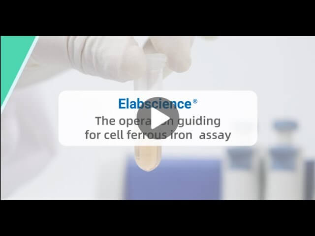 Cell Ferrous Iron Colorimetric Assay Kit Operation Guide Video