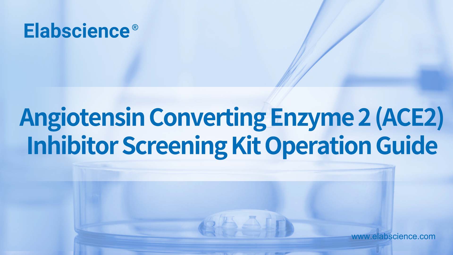 Angiotensin Converting Enzyme 2 (ACE2) Inhibitor Screening Kit Operation Guide
