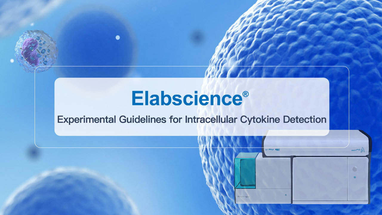 Intracellular Cytokine Detection Guide