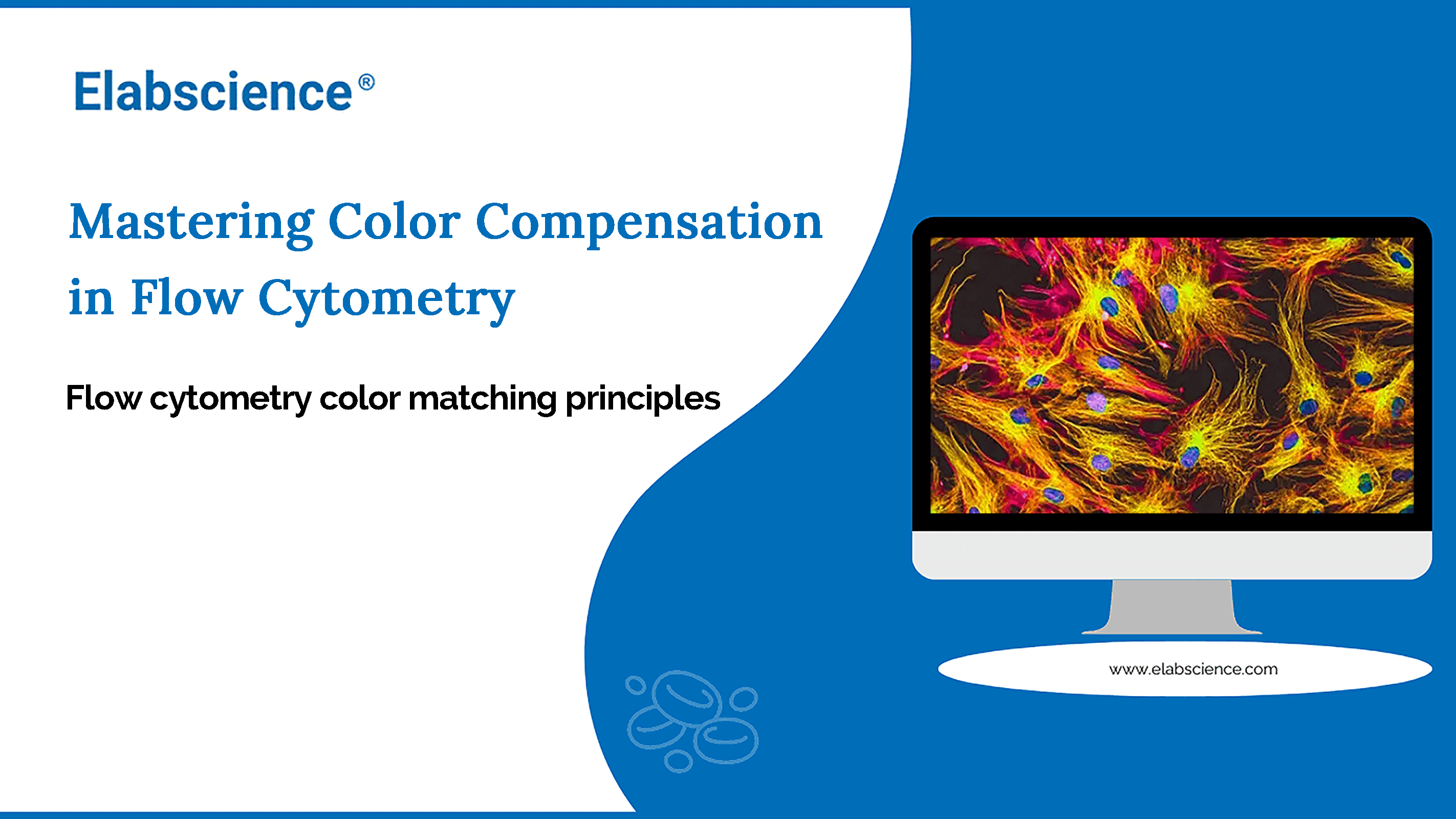 Mastering Multi-Color Panel Design in Flow Cytometry