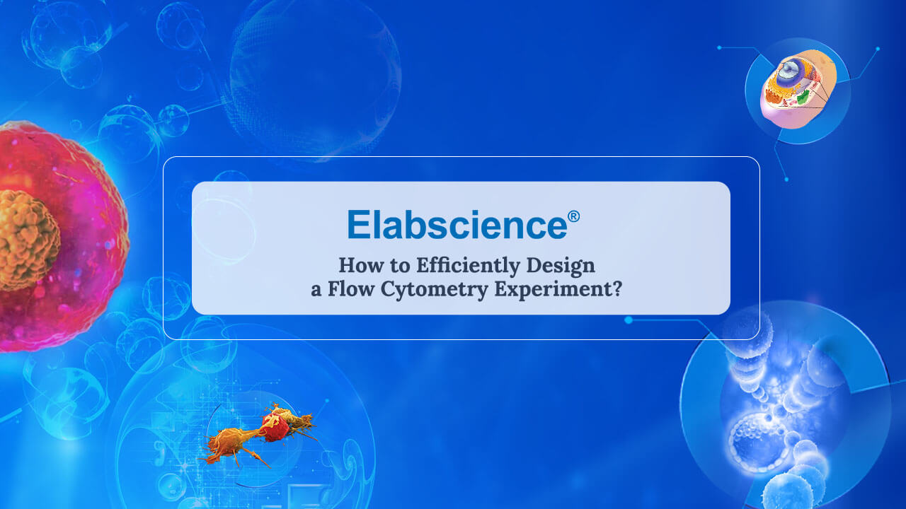 Experiment Operation Videos about Flow Cytometry Experiment
