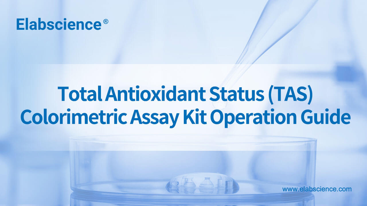 Total Antioxidant Status (TAS) Colorimetric Assay Kit Operation Guide