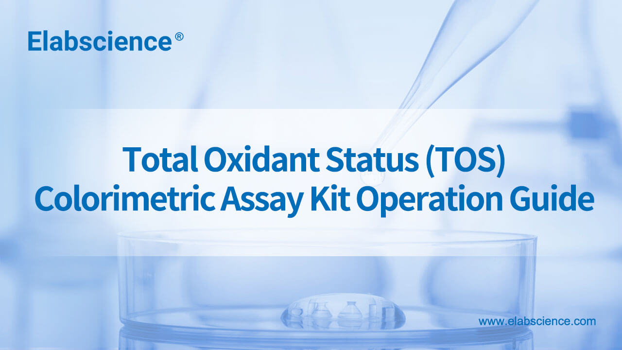 Total Oxidant Status (TOS) Colorimetric Assay Kit Operation Guide