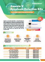 Annexin V Apoptosis Detection Kit (2024)