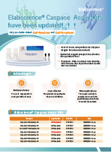 Caspase Activity Assay Kits (Colorimetric Method) (2024)