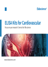 ELISA kits for Cardiovascular Research brochure (2023)