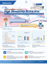 High Sensitivity ELISA kit flyer (2024)