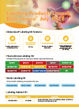 Labeling Kit & Service (Flyer-2023)