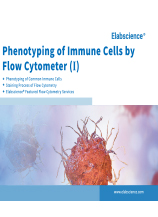 Phenotyping of Immune Cells by Flow Cytometer (Brochure-2024)
