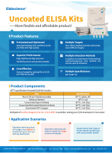 Uncoated ELISA kit flyer  (2023)