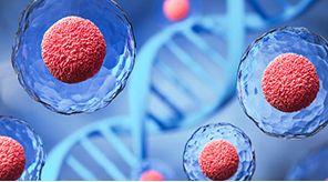 Polyclonal Antibody Customization Services