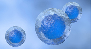 Stable Cell Line Development Services