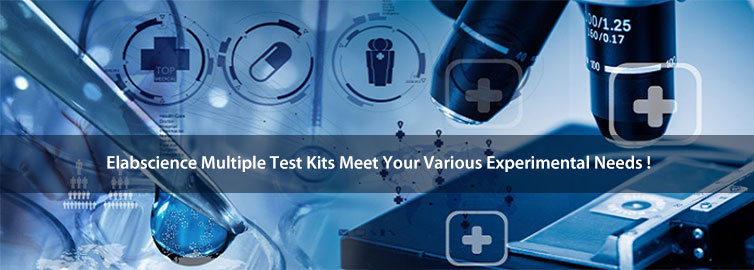 Elabscience kits