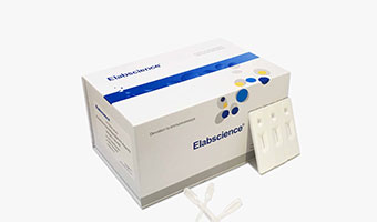 colloidal gold rapid test kits