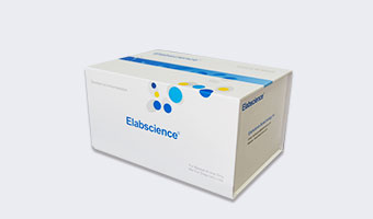 immunohistochemistry kits