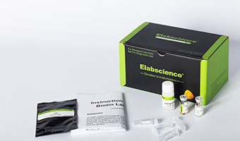 labeling kits