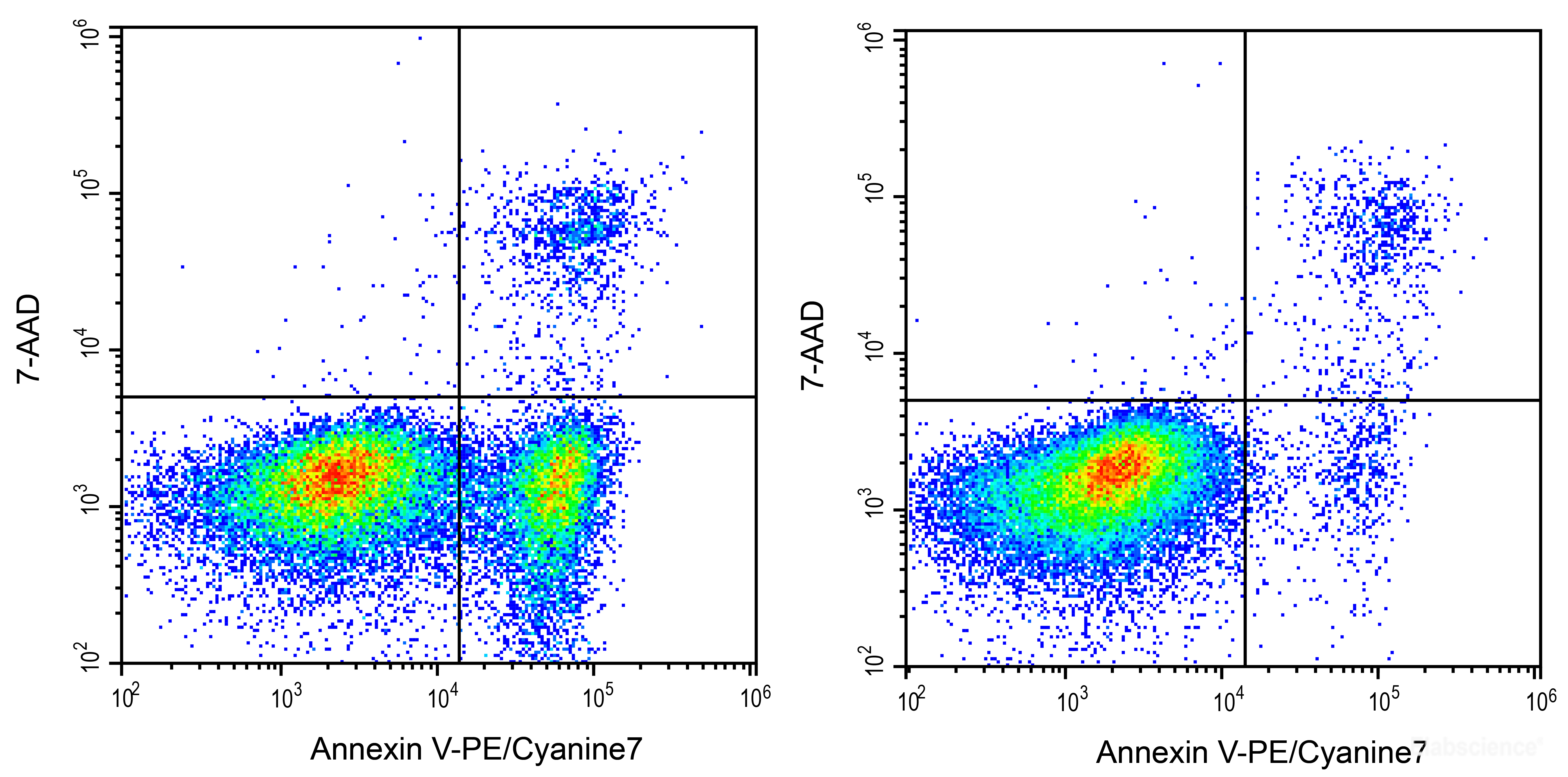 Annexin V Pe Cyanine7 7 d Apoptosis Detection Kit 228 E Ck 28 Manufacturer Elabscience