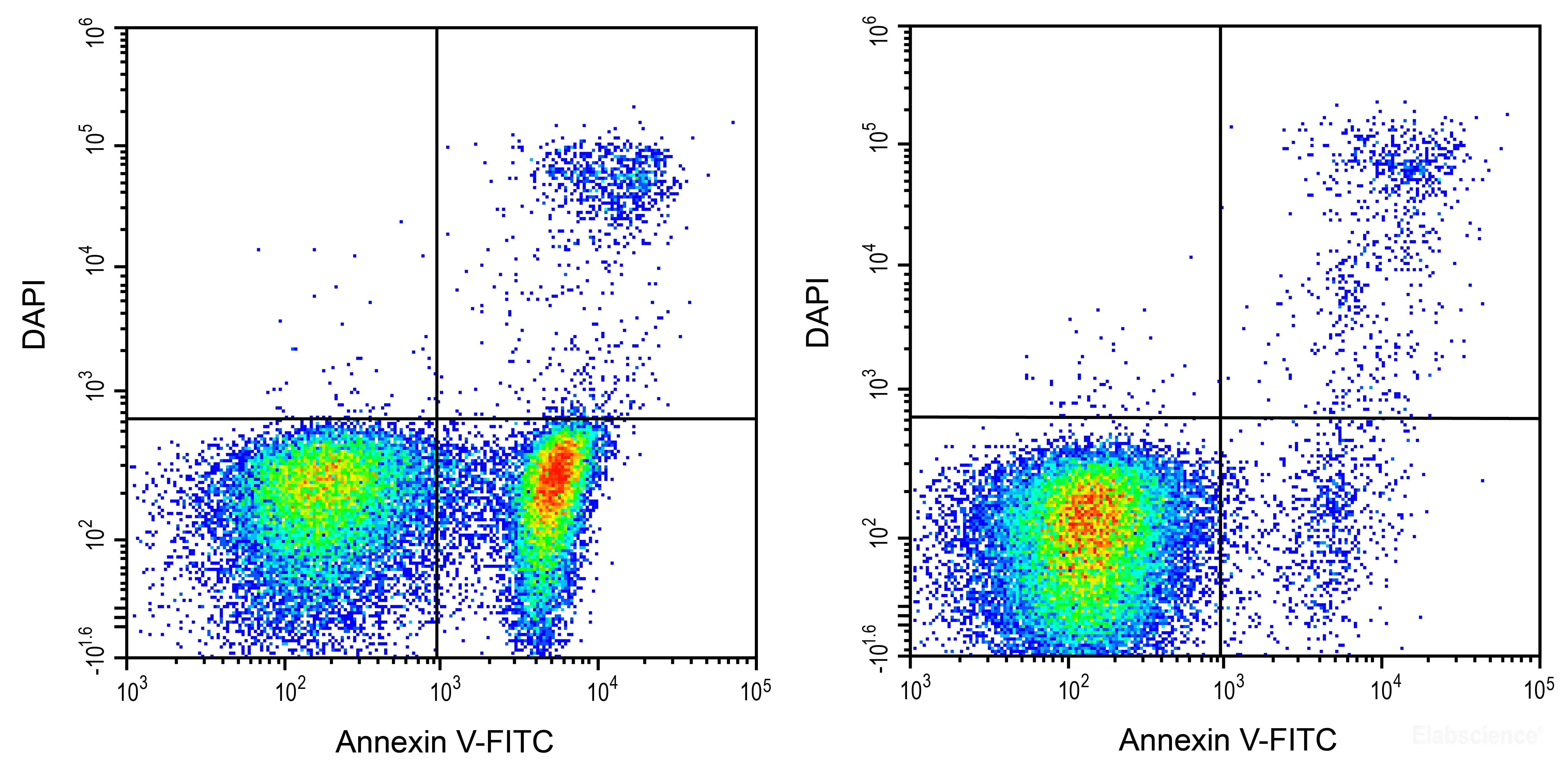 Annexin V Fitc Dapi Apoptosis Detection Kit 252 E Ck 52 Manufacturer Elabscience