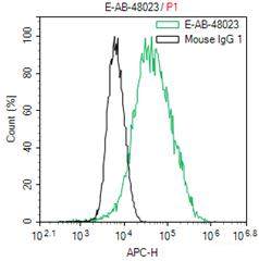 polyclonal antibody-Elabscience