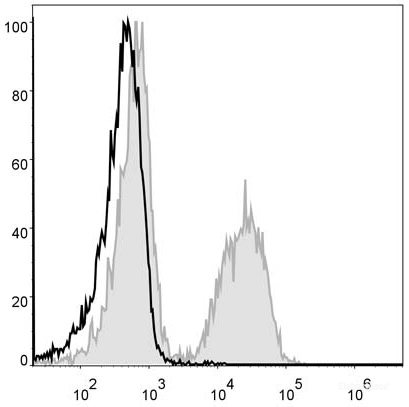 C57BL/6 murine splenocytes are stained with PE Anti-Mouse CD19 Antibody (filled gray histogram). Unstained splenocytes (empty black histogram) are used as control.