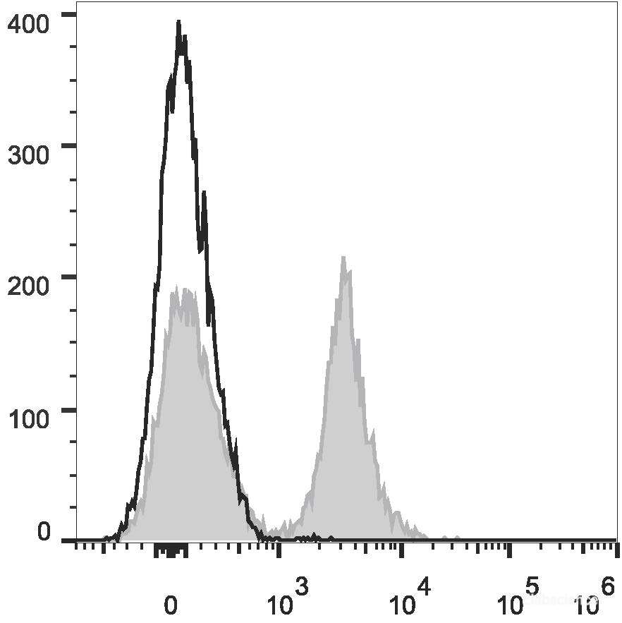 C57BL/6 murine splenocytes are stained with PE/Cyanine7 Anti-Mouse CD19 Antibody (filled gray histogram). Unstained splenocytes (empty black histogram) are used as control.