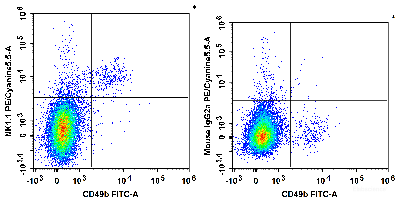 C57BL/6 murine splenocytes are stained with FITC Anti-Mouse CD49b Antibody and PE/Cyanine5.5 Anti-Mouse CD161/NK1.1 Antibody (Left). Splenocytes are stained with FITC Anti-Mouse CD49b Antibody and PE/Cyanine5.5 Mouse IgG2a, κ Isotype Control (Right).