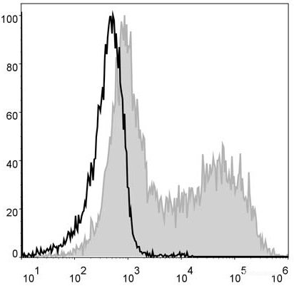 C57BL/6 murine splenocytes are stained with PE Anti-Mouse MHC II (I-A/I-E) Antibody (filled gray histogram). Unstained splenocytes (empty black histogram) are used as control.