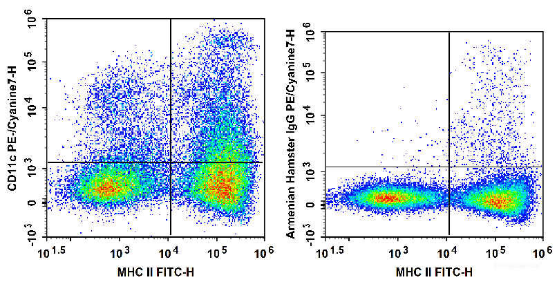 C57BL/6 murine splenocytes are stained with FITC Anti-Mouse MHC II Antibody and PE/Cyanine7 Anti-Mouse CD11c Antibody (Left). Splenocytes are stained with FITC Anti-Mouse MHC II Antibody and PE/Cyanine7 Armenian Hamster IgG Isotype Control (Right).