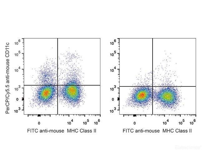 C57BL/6 murine splenocytes are stained with PerCP/Cyanine5.5 Anti-Mouse CD11c Antibody and FITC Anti-Mouse MHC II (I-A/I-E) Antibody (Left). Splenocytes stained with FITC Anti-Mouse MHC II (I-A/I-E) Antibody (Right) are used as control.
