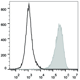 C57BL/6 murine splenocytes are stained with PE/Cyanine5 Anti-Mouse CD80 Antibody (filled gray histogram). Unstained splenocytes (empty black histogram) are used as control.