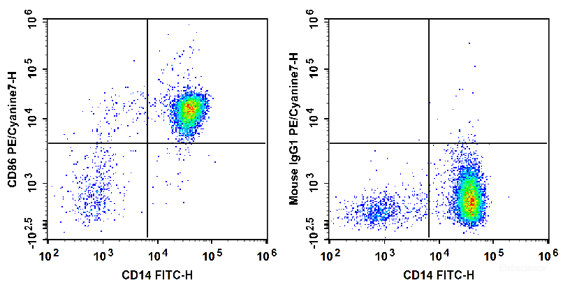 Human peripheral blood are stained with FITC Anti-Human CD14 Antibody and PE/Cyanine7 Anti-Human CD86 Antibody (Left). Cells in the monocyte gate were used for analysis. Cells are stained with FITC Anti-Human CD14 Antibody and PE/Cyanine7 Mouse IgG1, κ Isotype Control (Right).