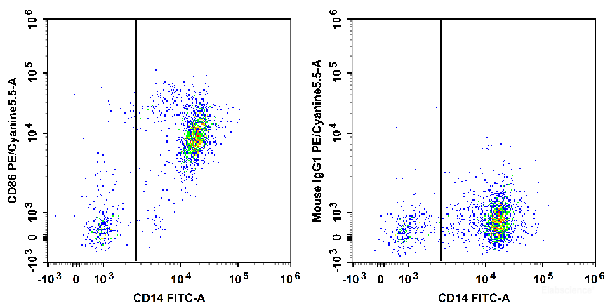 Human peripheral blood are stained with FITC Anti-Human CD14 Antibody and PE/Cyanine5.5 Anti-Human CD86 Antibody[BU63] (Left). Cells in the monocyte gate were used for analysis. Cells are stained with FITC Anti-Human CD14 Antibody and PE/Cyanine5.5 Mouse IgG1, κ Isotype Control (Right).