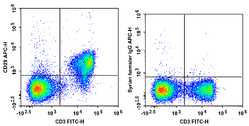C57BL/6 murine splenocytes are stained with FITC Anti-Mouse CD3 Antibody and APC Anti-Mouse CD28 Antibody (Left). Splenocytes are stained with FITC Anti-Mouse CD3 Antibody and APC Syrian Hamster IgG Isotype Control (Right).