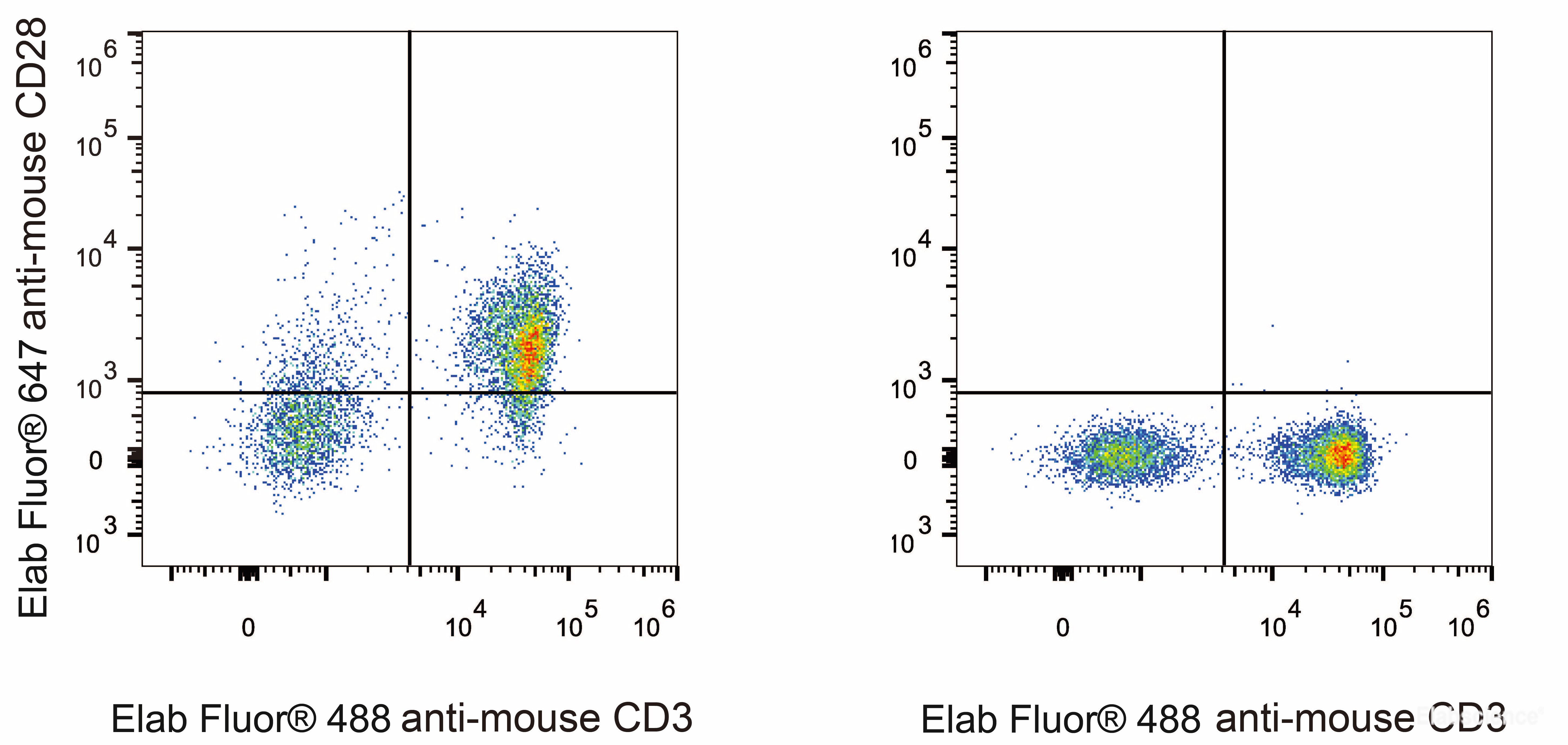 C57BL/6 murine splenocytes are stained with Elab Fluor<sup>®</sup> 647 Anti-Mouse CD28 Antibody and Elab Fluor<sup>®</sup> 488 Anti-Mouse CD3 Antibody (Left). Splenocytes stained with Elab Fluor<sup>®</sup> 488 Anti-Mouse CD3 Antibody (Right) are used as control.