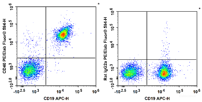 C57BL/6 murine splenocytes are stained with APC Anti-Mouse CD19 Antibody and PE/Elab Fluor<sup>®</sup> 594 Anti-Mouse CD40 Antibody (Left). Splenocytes are stained with APC Anti-Mouse CD19 Antibody and PE/Elab Fluor<sup>®</sup> 594 Rat IgG2a, κ Isotype Control (Right).