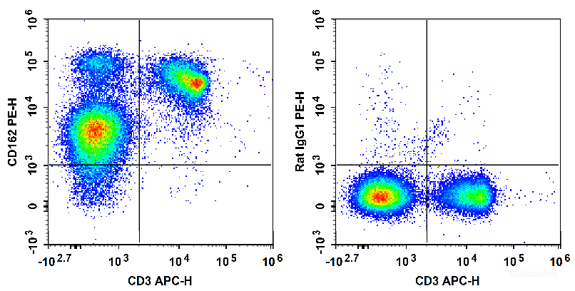 C57BL/6 murine splenocytes are stained with APC Anti-Mouse CD3 Antibody and PE Anti-Mouse CD162 Antibody (Left). Splenocytes are stained with APC Anti-Mouse CD3 Antibody and PE Rat IgG1, κ Isotype Control (Right).