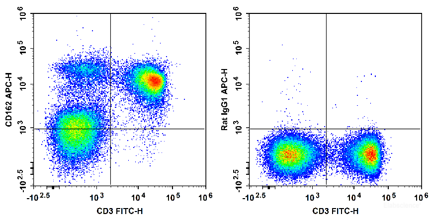 C57BL/6 murine splenocytes are stained with FITC Anti-Mouse CD3 Antibody and APC Anti-Mouse CD162 Antibody[4RA10] (Left). Splenocytes are stained with FITC Anti-Mouse CD3 Antibody and APC Rat IgG1, κ Isotype Control (Right).