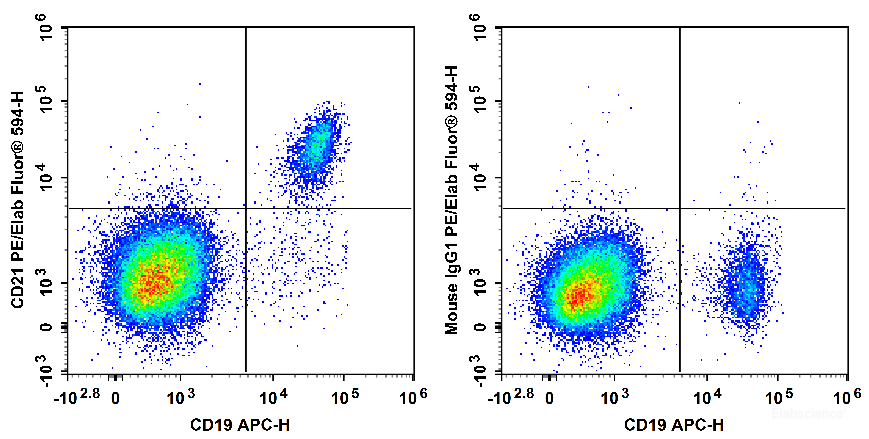 Human peripheral blood lymphocytes are stained with APC Anti-Human CD19 Antibody and PE/Elab Fluor<sup>®</sup> 594 Anti-Human CD21 Antibody[BU32] (Left). Lymphocytes are stained with APC Anti-Human CD19 Antibody and PE/Elab Fluor<sup>®</sup> 594 Mouse IgG1, κ Isotype Control (Right).