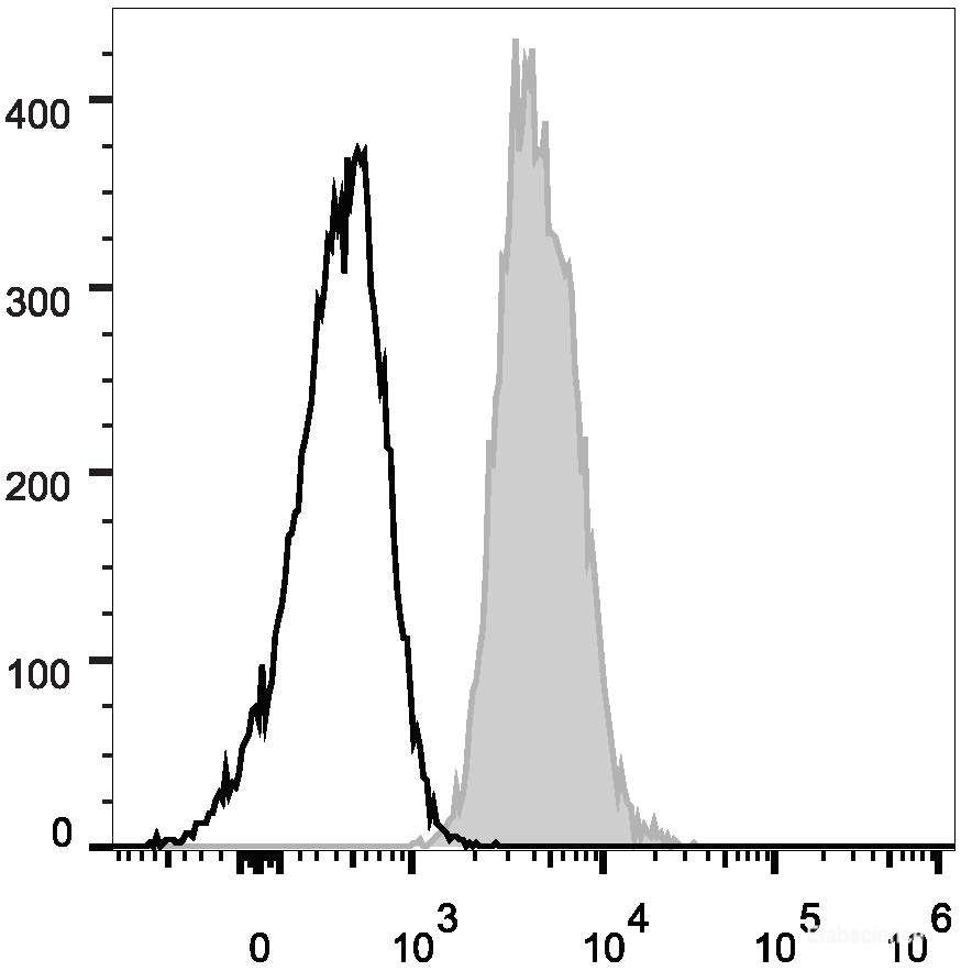 Human peripheral blood lymphocytes are stained with Elab Fluor<sup>®</sup> 488 Anti-Human CD147 Antibody (filled gray histogram). Unstained lymphocytes (empty black histogram) are used as control.