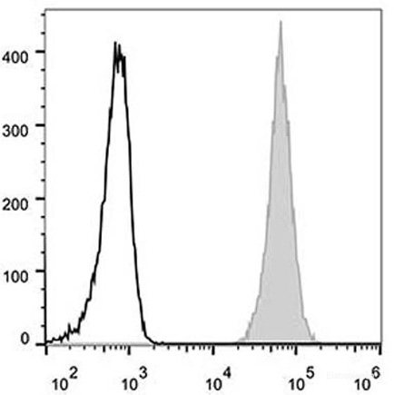 Human peripheral blood lymphocytes are stained with Elab Fluor<sup>®</sup> 488 Anti-Human CD47 Antibody (filled gray histogram). Unstained lymphocytes (empty black histogram) are used as control.