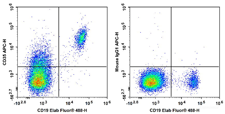 Human peripheral blood lymphocytes are stained with Elab Fluor<sup>®</sup> 488 Anti-Human CD19 Antibody and APC Anti-Human CD35 Antibody[E11] (Left). Lymphocytes are stained with Elab Fluor<sup>®</sup> 488 Anti-Human CD19 Antibody and APC Mouse IgG1, κ Isotype Control (Right).