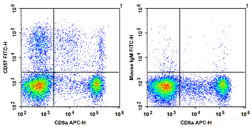 Human peripheral blood lymphocytes are stained with APC Anti-Human CD8a Antibody and FITC Anti-Human CD57 Antibody (Left). Lymphocytes are stained with APC Anti-Human CD8a Antibody and FITC Mouse IgM, κ Isotype Control (Right).