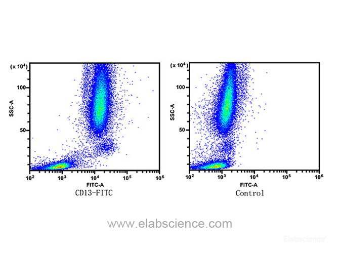 Human peripheral blood lymphocytes, monocytes and granulocytes are stained with FITC Anti-Human CD13 Antibody (Left). Unstained Human peripheral blood lymphocytes, monocytes and granulocytes are used as control (Right).
