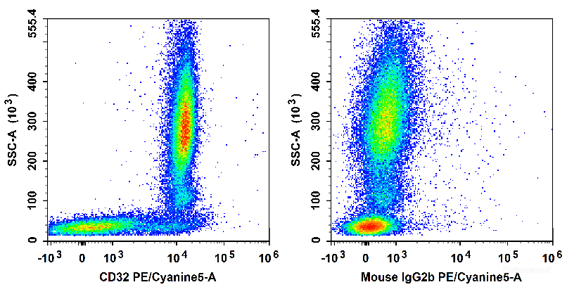Human peripheral blood leucocytes are stained with PE/Cyanine5 Anti-Human CD32 Antibody (Left). Leucocytes are stained with PE/Cyanine5 Mouse IgG2b, κ Isotype Control (Right).