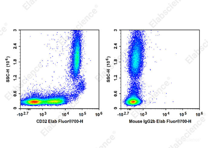 Flow cytometry antibody-Elabscience