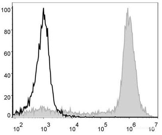 C57BL/6 murine bone marrow cells are stained with PE/Cyanine5 Anti-Mouse/Human CD11b Antibody (filled gray histogram). Unstained bone marrow cells (empty black histogram) are used as control.